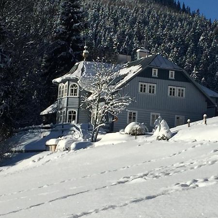 Penzion Modry Pavilon Dolní Malá Úpa Exterior foto